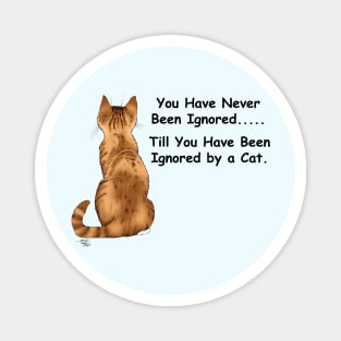 Cat Ignoring you Magnet